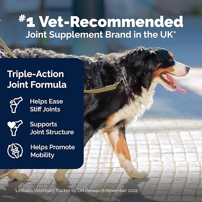 YuMOVE Hip & Joint Supplement for Dogs - Glucosamine, Green Lipped Mussel, Hyaluronic Acid & Omega 3 Supports Mobility & Joint Comfort 60 Chews (Large/XL Dogs)