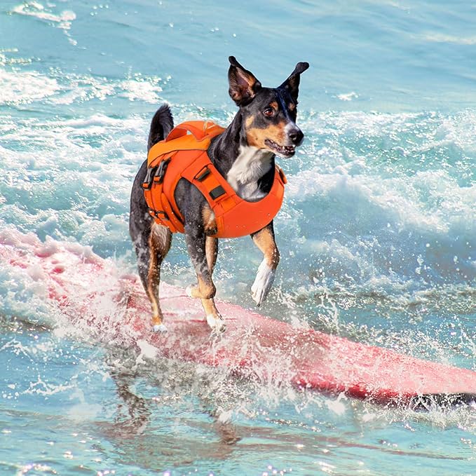 Queenmore Small Dog Life Jacket,Pet Life Vest for Swimming,Adjustable Reflective Pet Swimming Vest,High Buoyancy Dog Life Jacket,Pet Life Preserver(Orange,S)