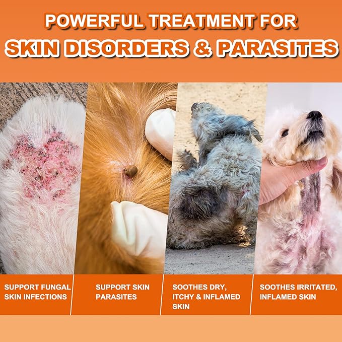 ZOXY Lime Sulfur Cream, Mange Treatment Dogs, Ringworm Treatment for Cats & Dogs, Soothes Itchy, Dry, Inflamed Skin, Promotes Hair Regrowth, Low Odor, No Rinse Needed, 2oz