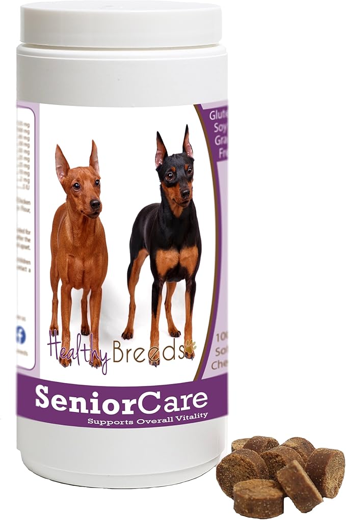 Healthy Breeds Senior Dog Vitamin Treat Chews for Miniature Pinscher - OVER 100 BREEDS - Grain Free - Supports Healthy Hip & Joint Energy Levels & Immune System - 100 Chews