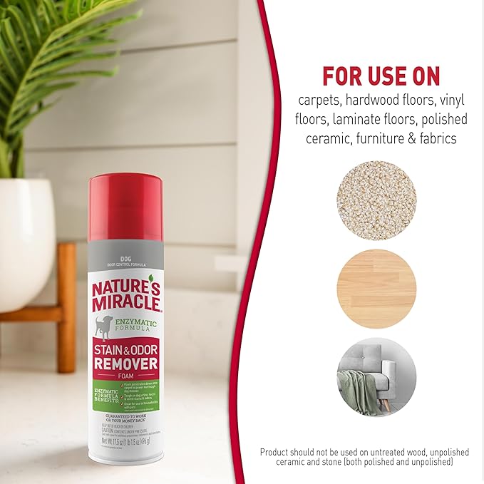 Nature's Miracle Stain & Odor Remover Foaming Aerosol For Dogs, 17.5 Oz (P-68340) (Pack of 2)