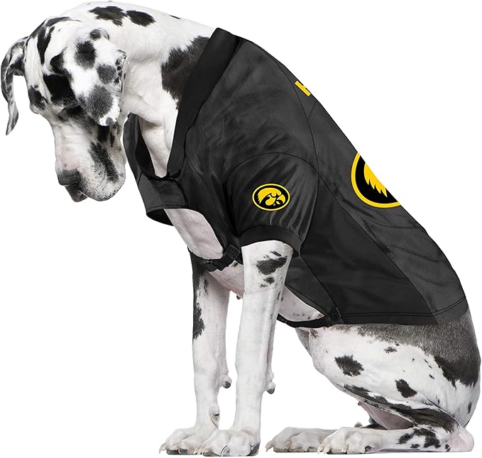 Littlearth Iowa Hawkeyes NCAA Stretch Pet Jersey