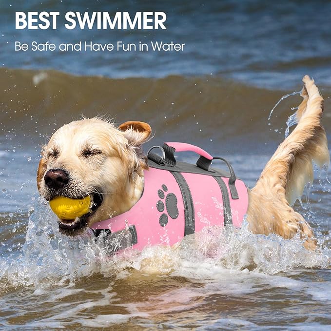 Queenmore XS Dog Life Jacket, Puppy Life Jackets for Small Dogs, Small Dog Life Vest for Swimming, Lightweight Extra Small Dog Life Vest with Handle Adjustable Pet Life Vest for Boating, Cat Lifevest