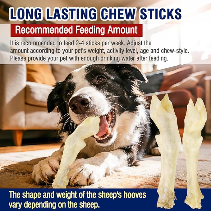 Sheep Hooves Dog Treats Dehydrated Lamb Trotters Single Ingredient Chew Sticks Bone for Puppy Organic Training Low Fat 20g