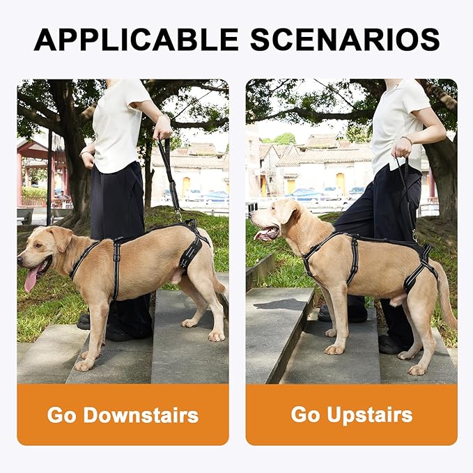 COODEO Professional Dog Sling for Hind Leg Support - Aid for Post-ACL/TPLO Surgery & Senior Dogs, Secure,Breathable & Machine-Washable with Reflective Edging for Safe Walks (Black, M)