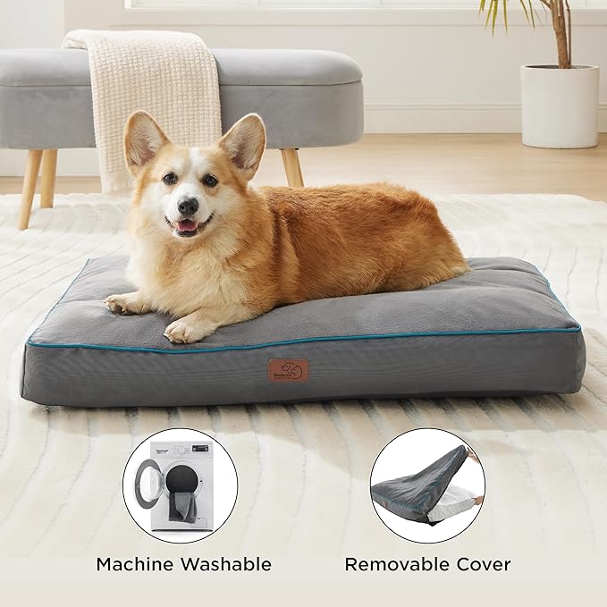 Bedsure Washable Dog Bed Medium Size Dog - 3 Inch Thicken Up to 45lbs Pet Mat Pillows with Removable Washable Cover, Blue