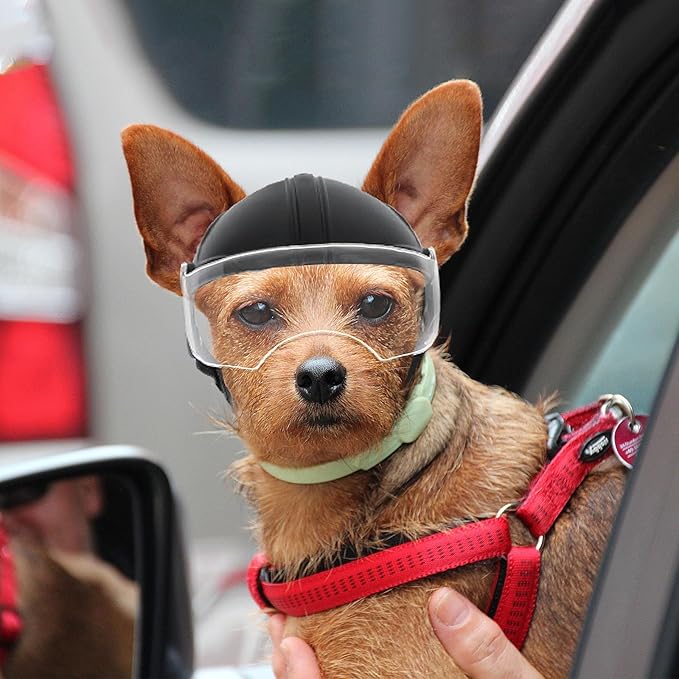 PETLESO Small Dog Helmet, Pet Motorcycle Helmet with Ear Holes, Adjustable Pet Safety Hat with Flip-Up Clear Visor, Small-Medium Puppy Heads Protection, Non-Spiked