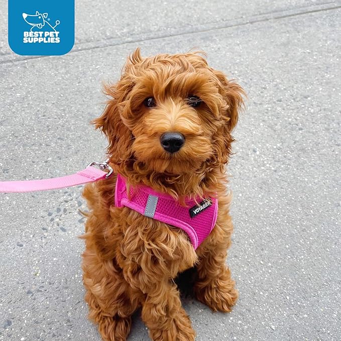 Best Pet Supplies Voyager Step-in Air Harness - All Weather Mesh, Reflective, No Pull Harness for Dogs, Cats - Secure with Hook & Loop Fastener, Buckle, Double D-Rings - Fuchsia, L
