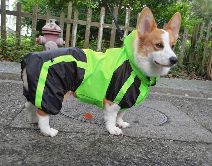 Lovelonglong Welsh Corgi Dog Hooded Raincoat, Dachshund Rain Jacket Poncho Waterproof Clothes with Hood Breathable 4 Feet Four Legs Rain Coats for Corgis Dachshund Green D-L