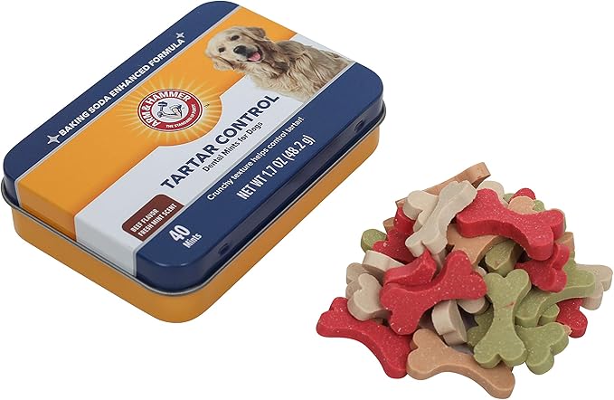Arm & Hammer for Pets Tartar Control Dental Mints for Dogs | Dog Dental Mints Help Reduce Plaque & Tartar Buildup Without Brushing | Beef Flavor, 40 Count (Pack of 4)