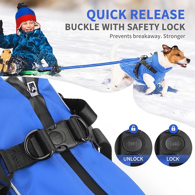 Dog Winter Coat Reflective Water-Resistant Jacket, Fleece Lined Windproof Puppy Coat with Back Zipper & D-Ring, Cold Weather Dog Coats for Small Medium Dogs (M,Blue)