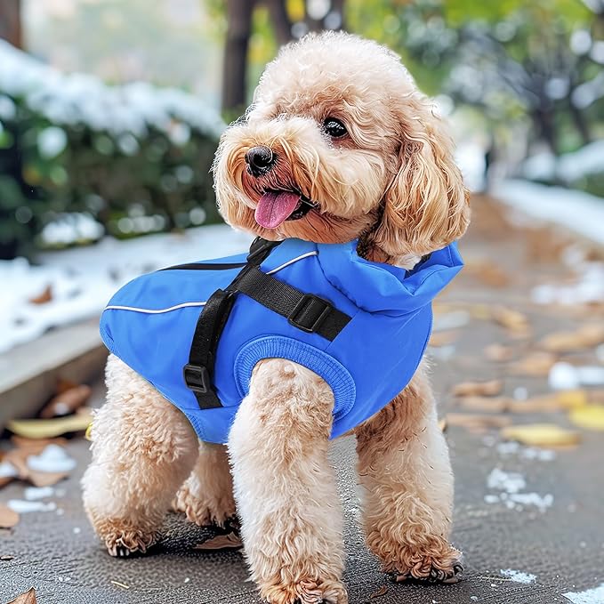 Dog Winter Coat Reflective Water-Resistant Jacket, Fleece Lined Windproof Puppy Coat with Back Zipper & D-Ring, Cold Weather Dog Coats for Small Medium Dogs (M,Blue)