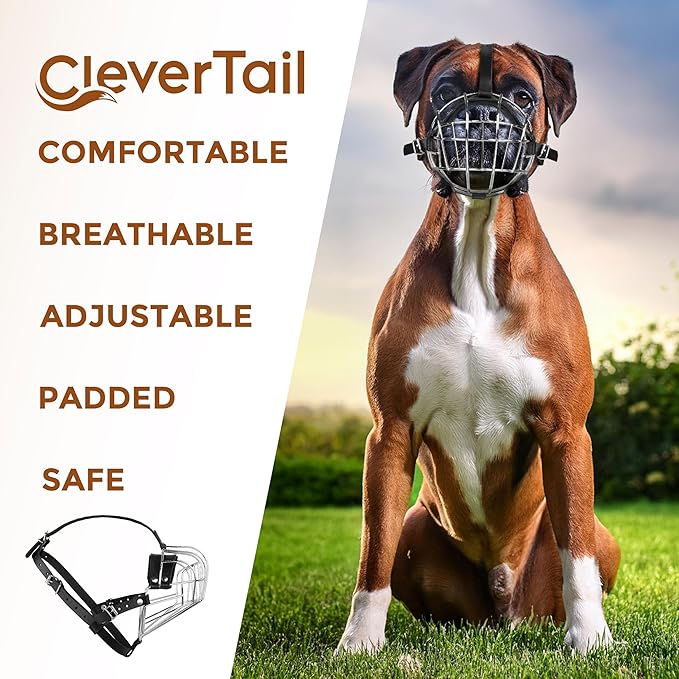 Metal Muzzle for Boxer Dog Breed – Bite Proof Boxer Muzzle for Medium and Large Sized Dogs – Steel Wire Basket Muzzles for Dogs English Bulldog, American Bulldog etc.