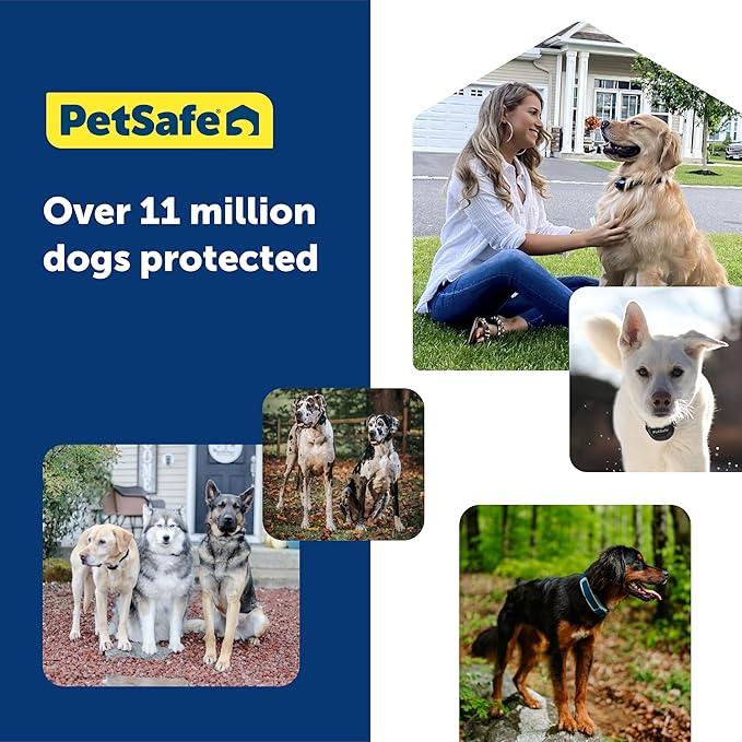 PetSafe Guardian GPS Dog Fence - Advanced AccuGuard Technology - Wireless Virtual Fence - No Subscription Required - Waterproof Collar with Long Lasting Battery - Easy to Set Up