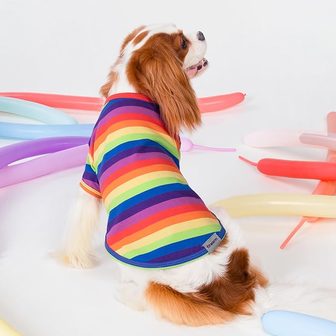 Fitwarm 3 Pack Rainbow Striped Dog Shirt, Dog Summer Clothes for Small Dogs Boy Girl, Breathable Lightweight Pet Tshirt with Sleeves, Cat Outfit, White, Black, Multicolored, XXL
