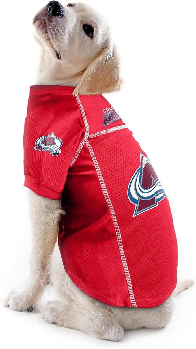 Littlearth NHL Detroit Red Wings Basic Pet Jersey, Team Color
