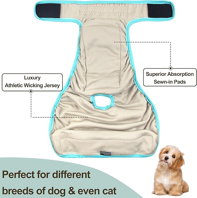 Washable Female Dog Diapers - Premium Reusable Diapers for Doggie in Heat - Highly Absorbent Dog Diapers Female for Pet Incontinence with Adjustable Snaps (Leaves, XL)
