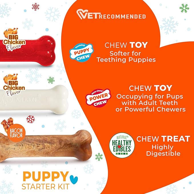 Nylabone Holiday Edition Puppy Starter Kit, 2 Teething Toys and 1 Natural Treat for Puppies, Chicken & Bacon Flavor, Small - Up to 25 lbs, 3 Pack