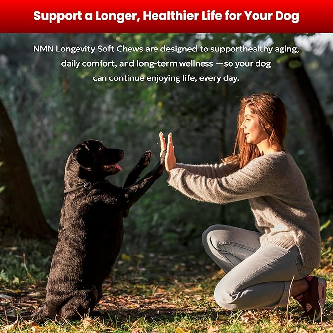 NMN Longevity Soft Chews for Dogs – Beef Flavored – Antioxidant Support for Joint Health, Immune Function, and Cellular Protection – 120 Count