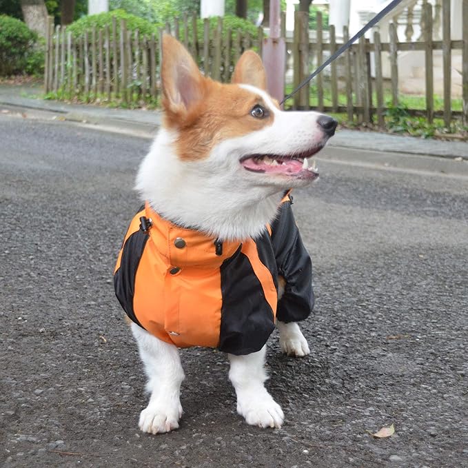 Lovelonglong Welsh Corgi Dog Hooded Raincoat, Dachshund Rain Jacket Poncho Waterproof Clothes with Hood Breathable 4 Feet Four Legs Rain Coats for Corgis Dachshund Orange D-S