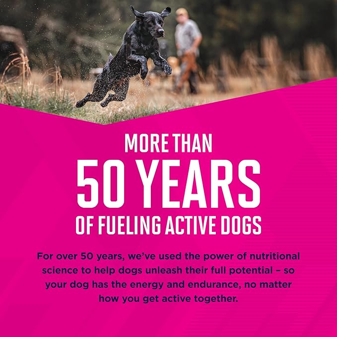 Eukanuba Senior Small Breed Dry Dog Food, 15 lb Bag