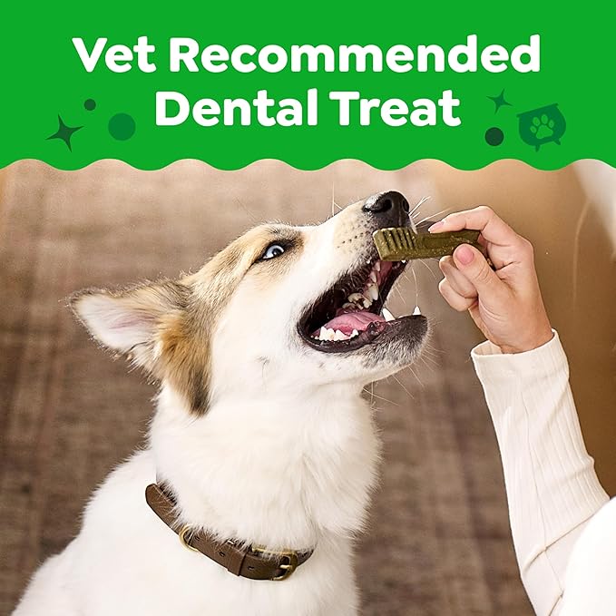 Greenies Veterinarian-Recommended, Limited-Edition Natural Dental Dog Treats Regular Size, Pumpkin Spice Flavor, 12 oz. Pack, 12 Count
