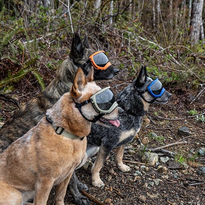 Rex Specs V2 Dog Goggles with UV Eye protection Sunglasses, for Large, Medium, and Small dog breeds (Appalachian Orange, Large)