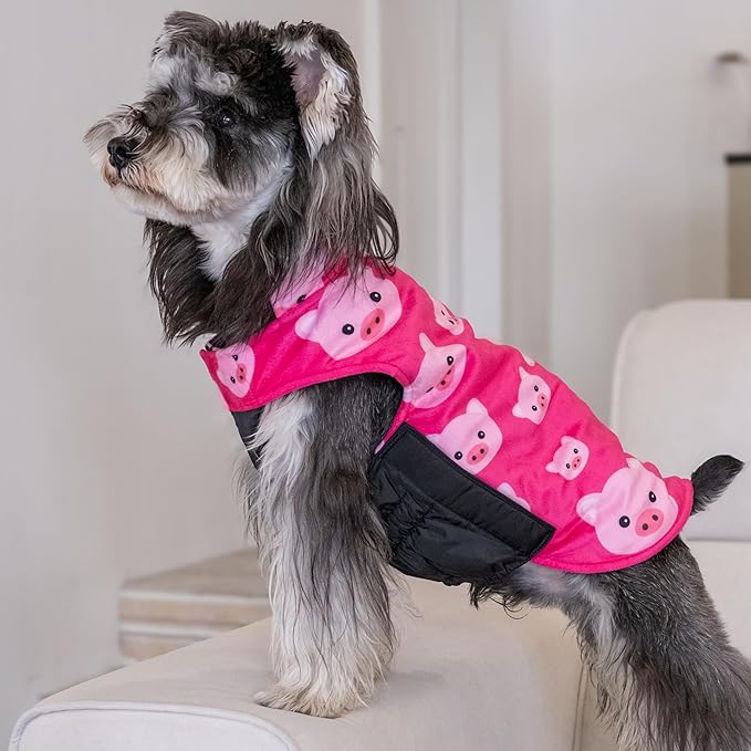 CuteBone Winter Coat Waterproof Windproof Jacket Reversible Vest Thick Adjustable Cold Weather Coats for Small Medium Large Dogs Soft with Leash Hole