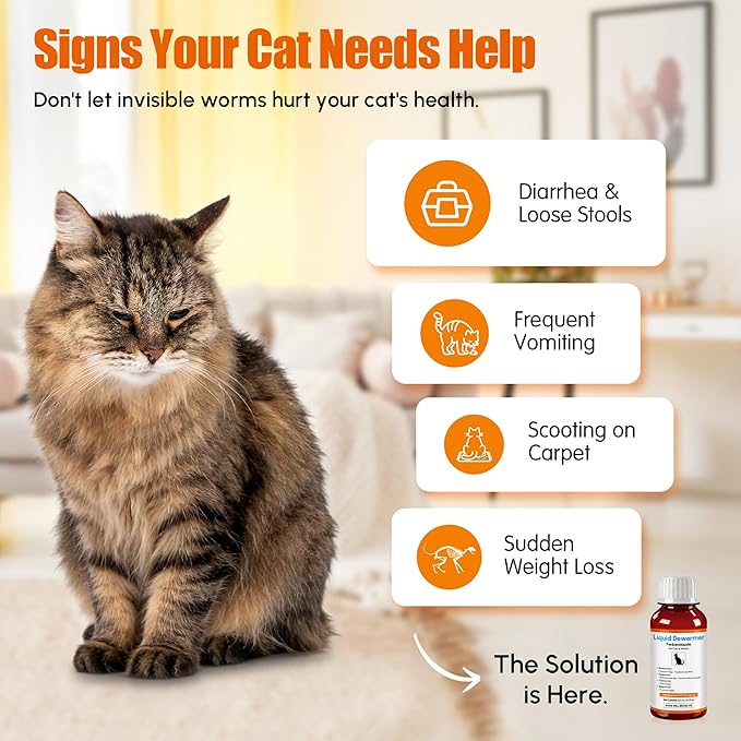 Dewormer for Cats & Kittens Fenbendazole Liquid - Broad Spectrum Suspension - Easy to Mix with Food - Removes Roundworm, Hookworm, Tapeworm - Includes 3ml Dosing Syringe (100ml)