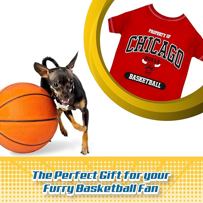 Pets First NBA Licensed Hoodies & T-shirt for Dogs & Cats, Chicago Bulls, Medium
