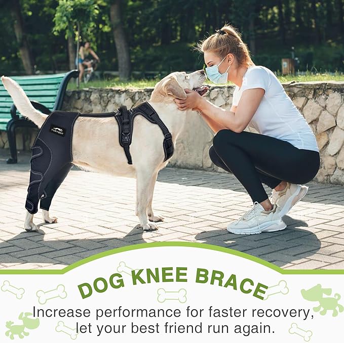 Dog Knee Brace for Torn ACL/CCL Hind Leg - Keeps Joints Warm and Stable, Upgraded Adjustable Leg Support, Dogs Rear Leg Wrap Harness Set for Leg Wound Care and Lick Prevention, L