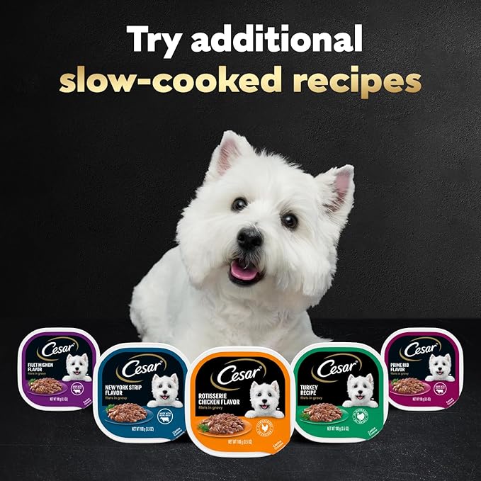 Cesar Filets in Gravy Adult Wet Dog Food Variety Pack, Poultry Lovers with Rotisserie Chicken Flavor and Turkey Recipe, 3.5 oz. Easy Peel Trays, Variety Pack, 12 Count (Pack of 2)