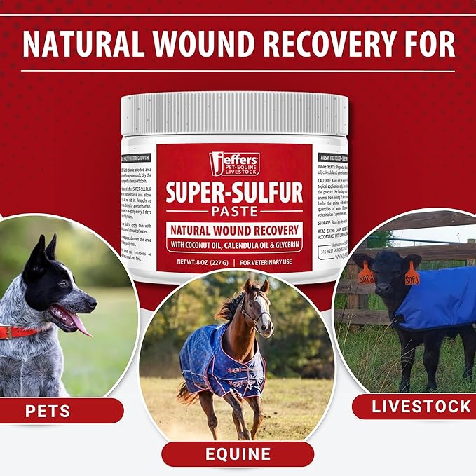 Jeffers Super Sulfur Natural Healing Paste for Dogs, Cats & Horses 8 oz – Wound Care, Skin & Coat Support for Animals, Soothes Itching & Inflammation, Dry Rough Flaky Skin, Hot Spots, Paw, Hoof Care