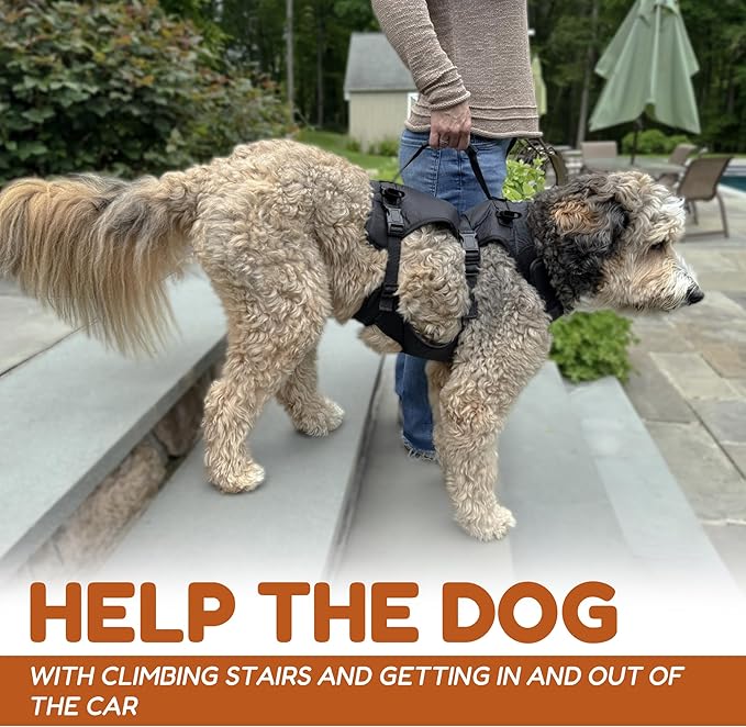 Doggie Stylz Dog Lift Harness for Large Dogs Full Body Support Sling Dog Carrier has Adjustable Handles Recovery Vest for Senior Dogs, Arthritis Joint Injuries, Mobility Aid Back Leg Support (Large)