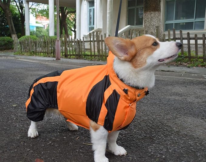 Lovelonglong Welsh Corgi Dog Hooded Raincoat, Dachshund Rain Jacket Poncho Waterproof Clothes with Hood Breathable 4 Feet Four Legs Rain Coats for Corgis Dachshund Orange D-M