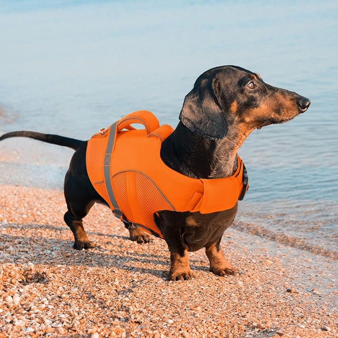 Queenmore Dog Life Jacket, Adjustable Ripstop Dog Life Vest for Swimming Boating, Pet Lifesaver with Superior Buoyancy and Rescue Handle, Doggy Swimming Vest for Large Dogs（Orange,L）