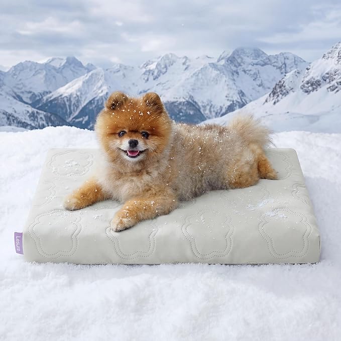 LE SURE Orthopedic Cooling Dog Bed for Small Dogs, Q-Max>0.5 Cooling Mat with Removable Washable Cover, Breathable Egg Crate Foam Summer Pad for Active/Long-Haired/Senior Pets/Cats/Puppy, 23x17 Inch