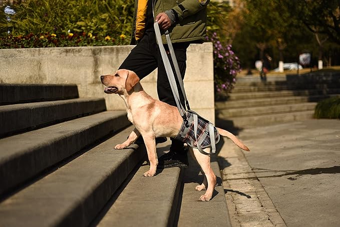 ROZKITCH Dog Lift Harness, Grid Pet Rear Support Aid Veterinarian Approved Sling for Old K9 Help with Poor Stability, Back Leg Hip Disabled Joint Injury Elderly Arthritis ACL Rehabilitation Rehab