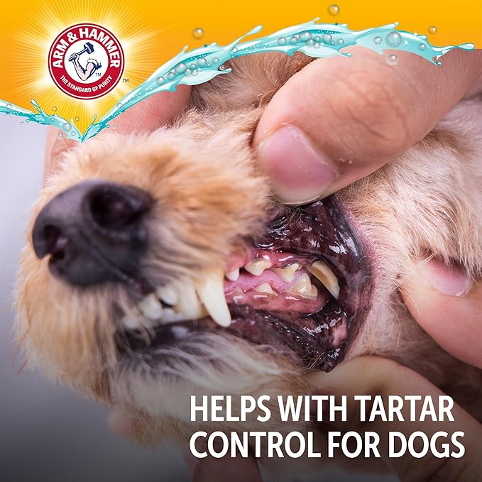 Arm & Hammer Complete Care Dog Dental Spray, Mint Flavor, Easy Brushless Dog Breath Freshener, Baking Soda Enhanced Formula for Fresh Dog Breath, 6oz