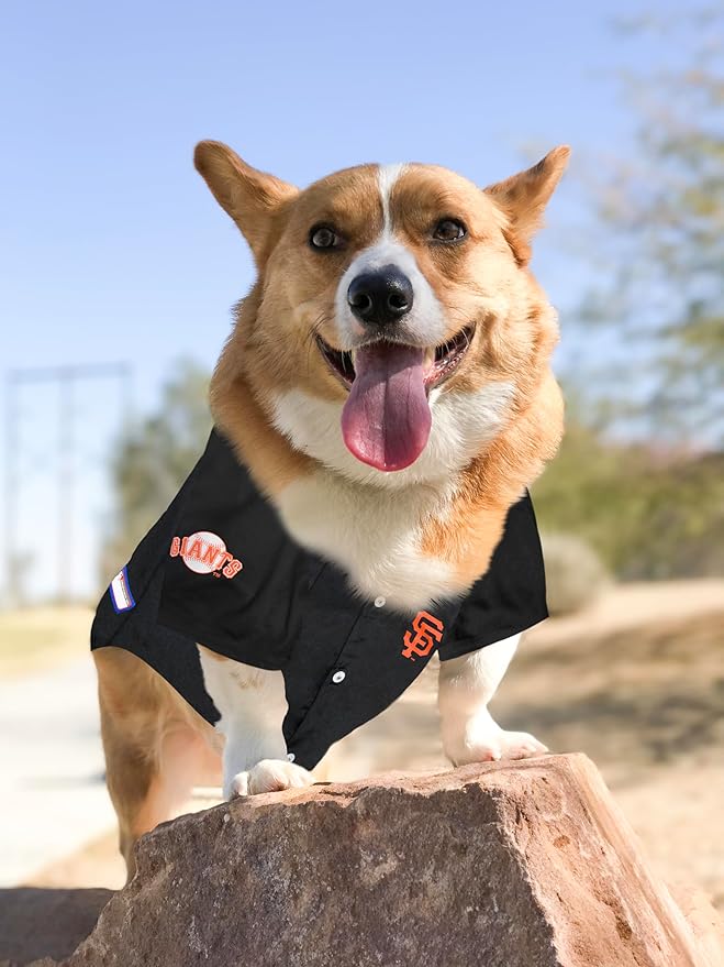 Official MLB San Francisco Giants Pet Jersey for Dogs & Cats, Size X-Small - Stylish Baseball Jersey for Your Furry Fan- Show Off Team Spirit with The Perfect Fan Apparel Gear for Pet, Dog & Cat