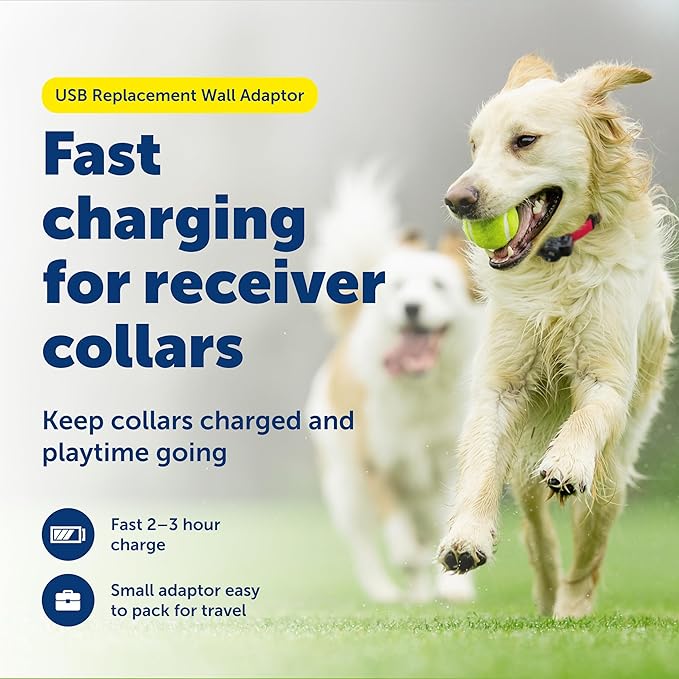PetSafe USB Replacement Wall Adaptor - Efficient Charging - Wall Charger for Receiver Collars - Compact Design - Compatible with Wireless Fence & In-Ground Fence Systems