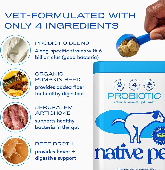 Native Pet Probiotics for Dogs – Dog Probiotic Powder for Gut & Digestive Health, Vet-Formulated 6B CFUs Dog-Specific Probiotic Strains, Supports Stool Quality & Diet Transitions – 60 Scoops