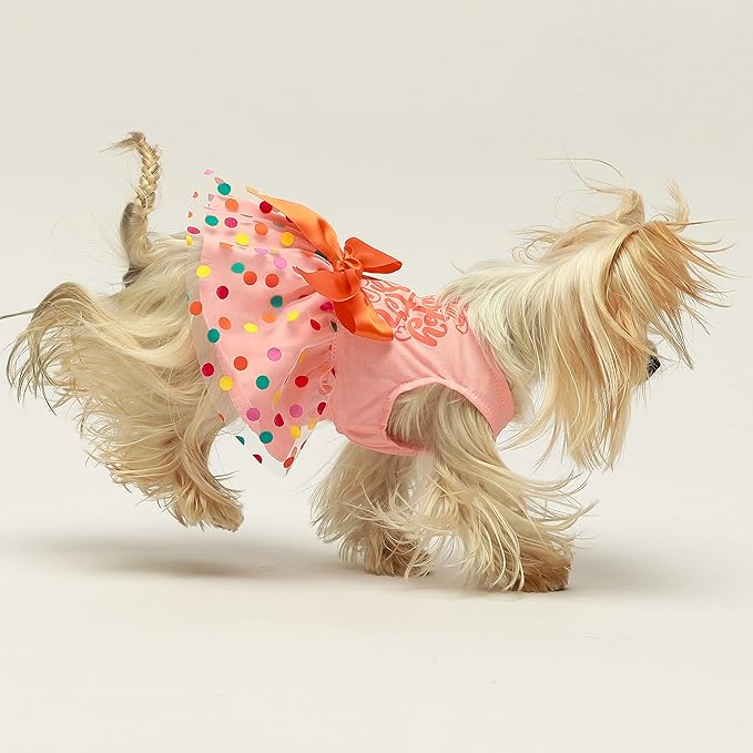 Fitwarm Happy Easter Day Dog Dress 100% Cotton Girl Dog Clothes Easter Bunny Dogs Dresses Pet Apparel Doggie Tutu with Bowknot Cat Clothing Puppy Dresses Doggy Costume Attire Orange Small