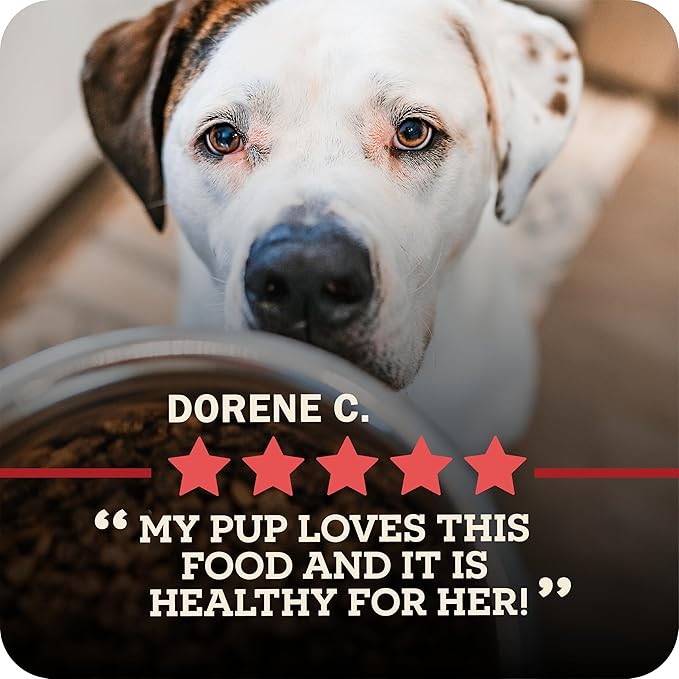 Redbarn Powerfood Air Dried Dog Food for Skin & Coat Health - 93% Lamb, Fish, & Lamb Organs with Omega-3s & 6s - Non-GMO Dry Full Feed or Topper Made in USA - 2lb