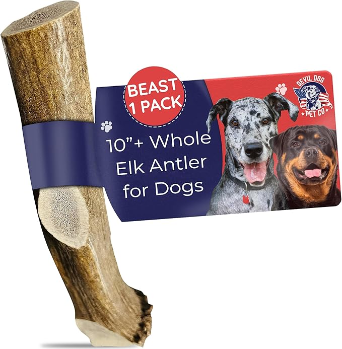 Devil Dog Pet Co. Elk Antler for Dogs Beast 15 oz Min Extra Thick - Longest Lasting Dog Chew for Giant Breed Power Chewers - Naturally Shed Grade A Rocky Mountain Elk, Anxiety & Boredom Relief (95+)