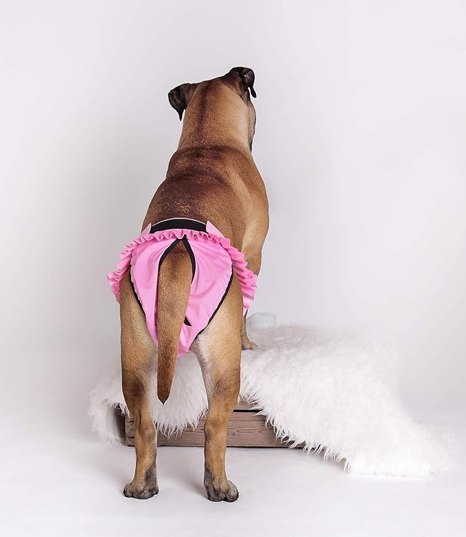 FINNERO Ballerina Dog Diaper – Washable, Reusable, Leak-Proof – Heat, Period & Urine Incontinence Protection – Comfortable, and Stylish Design – Adjustable Fit for Female Dogs – XS, Pink