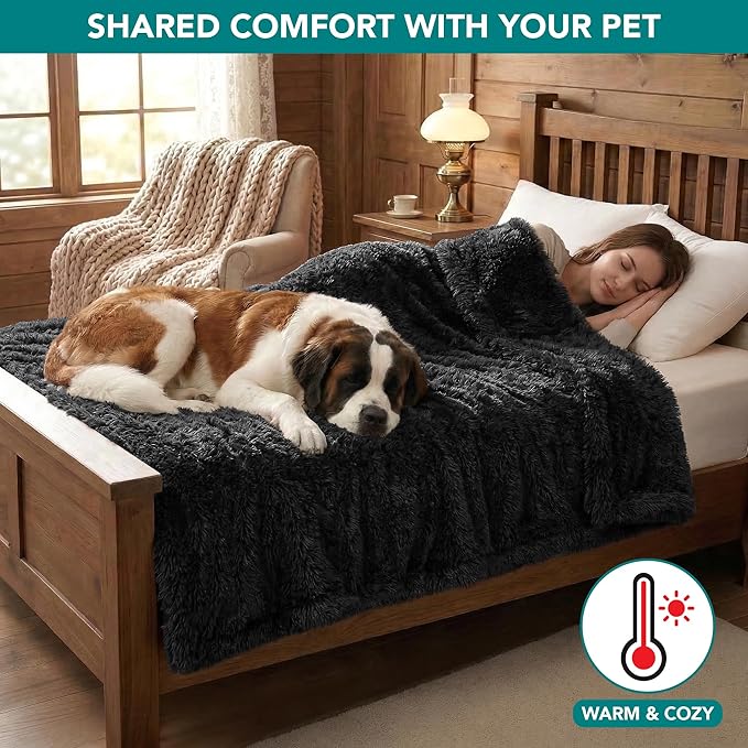PetAmi Fluffy Waterproof Dog Blanket for Bed Large Dogs, Soft Warm Pet Sherpa Throw Pee Proof Couch Cover, Reversible Cat Blanket Sofa Crate Kennel Protector, Washable Mat (Black, 60x80)