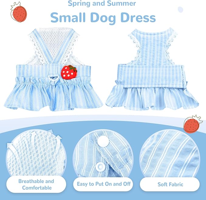 Cute Strawberry Small Dog Dress with D-Ring Princess Lace Girl Female Dog Clothes Spring Summer Breathable Mesh Pet Puppy Cats Harness Dress for Shih Tzu Yorkies Chihuahua(Blue,Large)