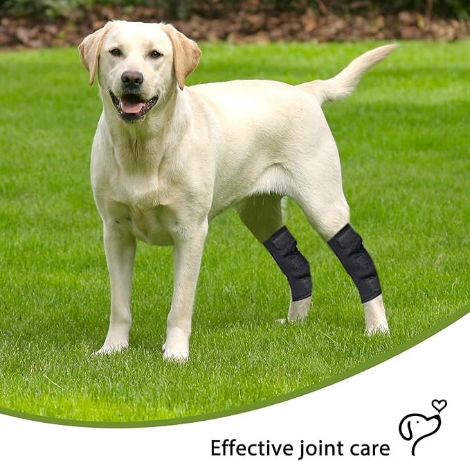 Dog Leg Braces for Rear Leg, Adjustable Dog Leg Sleeve Added Mobility Safety for Active Aging Dogs, Knee Support Straps for Outdoor Adventures Daliy Use Enhanced Stability (XL)