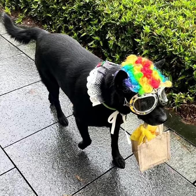 Funny Dog Wig Pet Costumes, Cat Costume Synthetic Hairpiece Cosplay Wigs, Headwear for Halloween Christmas Festivals Party Decor, Fancy Dress,Average Size for Most Dog Cat,Colorful Curly